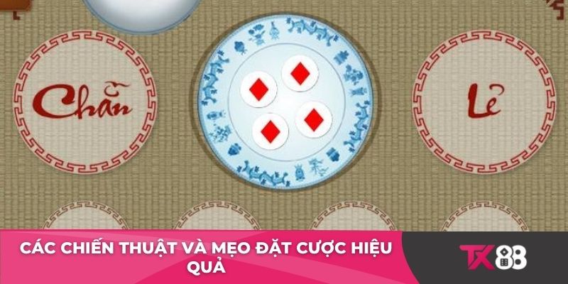 Các chiến thuật và mẹo đặt cược hiệu quả