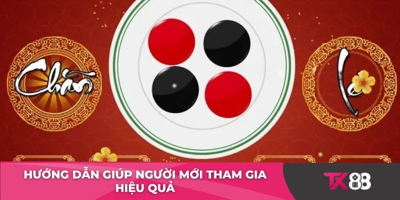 Hướng dẫn giúp người mới tham gia Live xóc đĩa hiệu quả