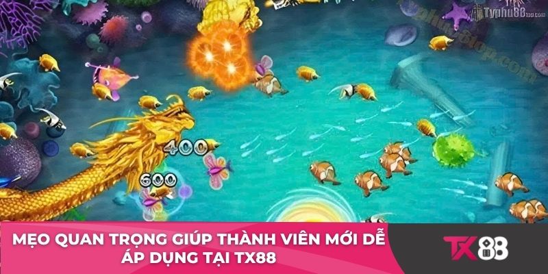 Mẹo quan trọng giúp thành viên mới dễ áp dụng tại TX88