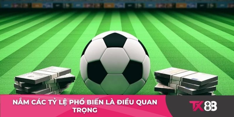 Nắm các tỷ lệ phổ biến là điều quan trọng