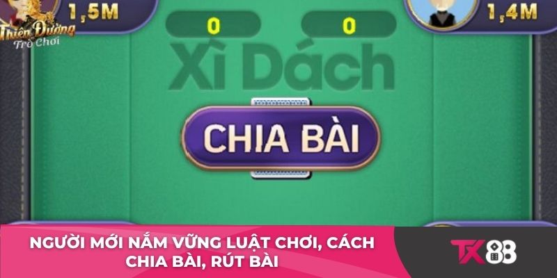 Người mới nắm vững luật chơi, cách chia bài, rút bài